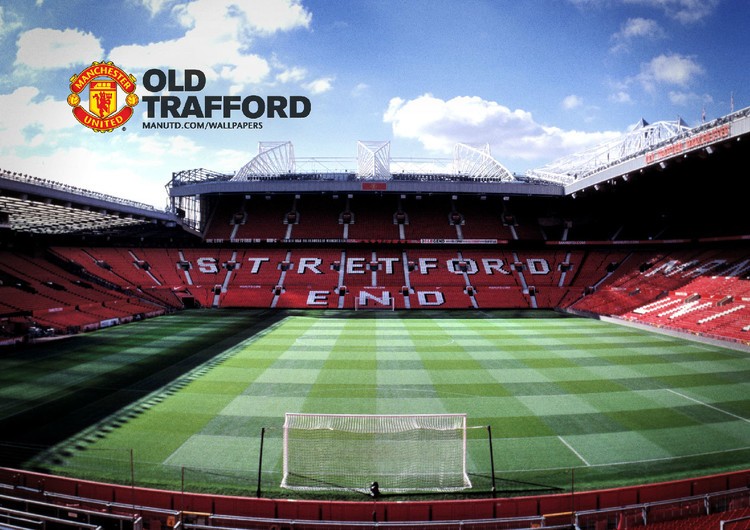 本土优秀球 本土优秀球