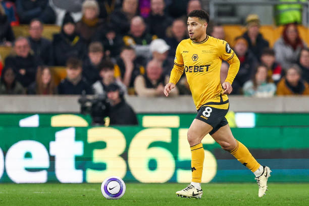 的极大认可 的极大认可