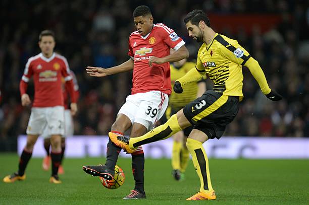 迷期待已久 迷期待已久